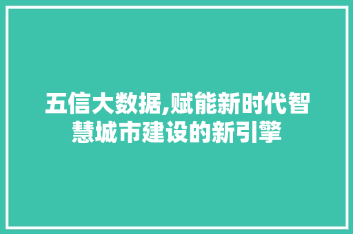五信大数据,赋能新时代智慧城市建设的新引擎
