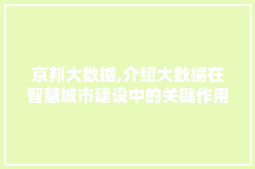 京邦大数据,介绍大数据在智慧城市建设中的关键作用