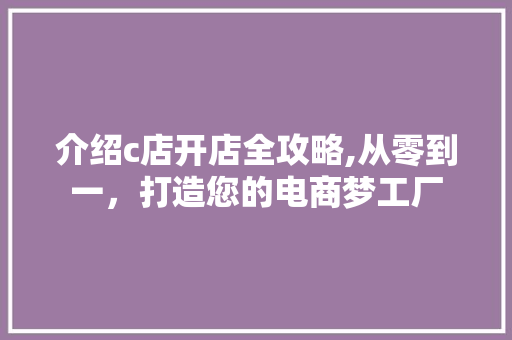 介绍c店开店全攻略,从零到一，打造您的电商梦工厂