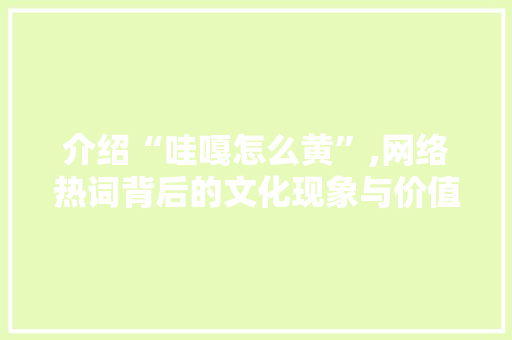 介绍“哇嘎怎么黄”,网络热词背后的文化现象与价值观反思