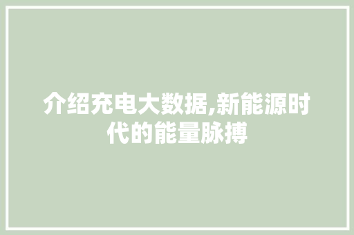 介绍充电大数据,新能源时代的能量脉搏