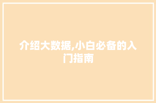 介绍大数据,小白必备的入门指南