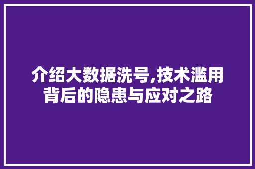 介绍大数据洗号,技术滥用背后的隐患与应对之路