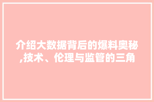 介绍大数据背后的爆料奥秘,技术、伦理与监管的三角博弈
