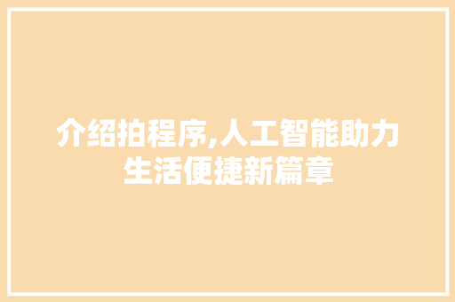 介绍拍程序,人工智能助力生活便捷新篇章