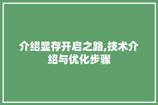 介绍显存开启之路,技术介绍与优化步骤