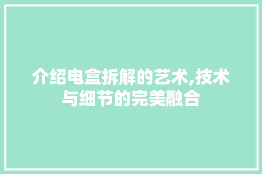 介绍电盒拆解的艺术,技术与细节的完美融合