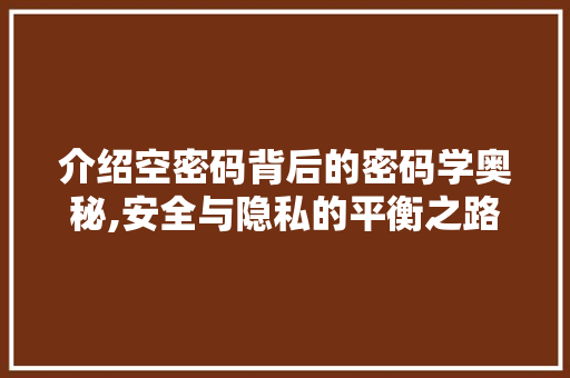 介绍空密码背后的密码学奥秘,安全与隐私的平衡之路