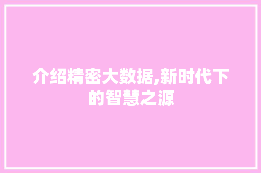 介绍精密大数据,新时代下的智慧之源