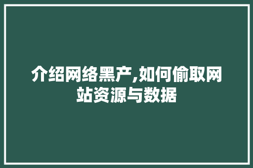 介绍网络黑产,如何偷取网站资源与数据