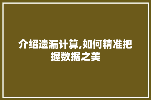 介绍遗漏计算,如何精准把握数据之美