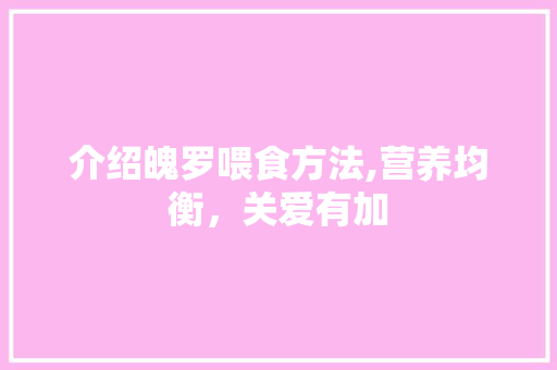 介绍魄罗喂食方法,营养均衡，关爱有加