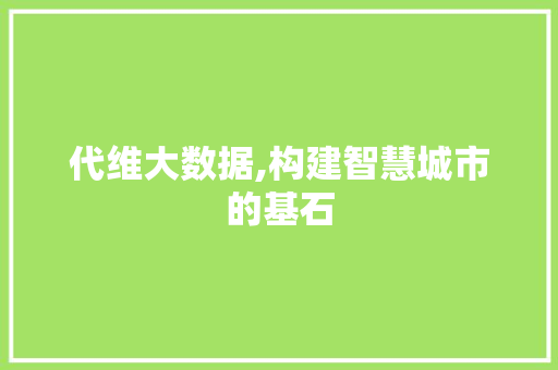 代维大数据,构建智慧城市的基石