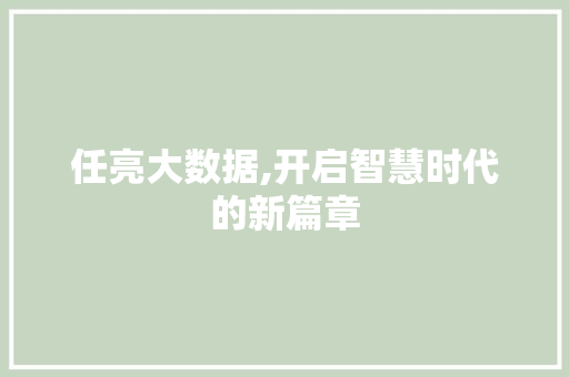 任亮大数据,开启智慧时代的新篇章