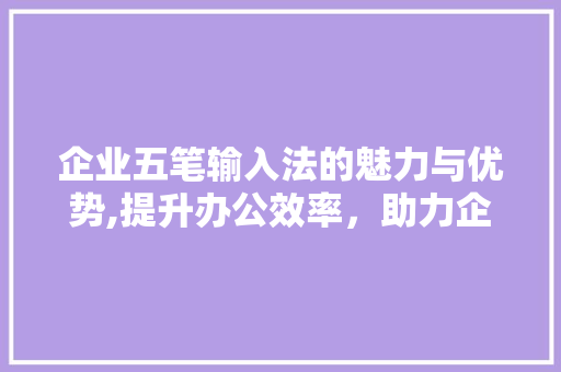 企业五笔输入法的魅力与优势,提升办公效率，助力企业发展