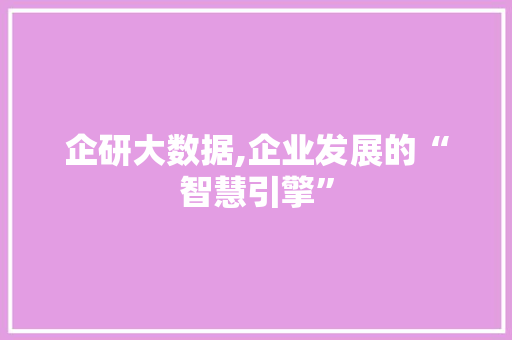 企研大数据,企业发展的“智慧引擎”