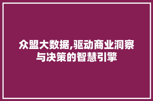 众盟大数据,驱动商业洞察与决策的智慧引擎
