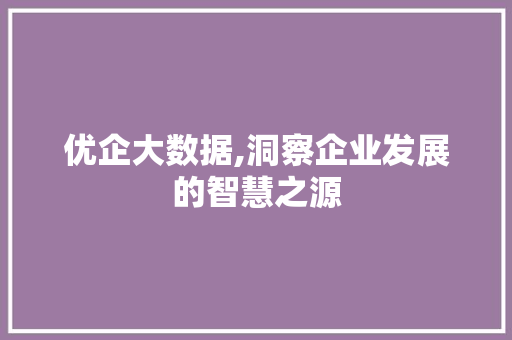 优企大数据,洞察企业发展的智慧之源