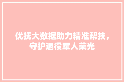 优抚大数据助力精准帮扶，守护退役军人荣光