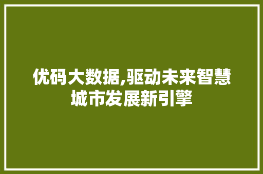 优码大数据,驱动未来智慧城市发展新引擎