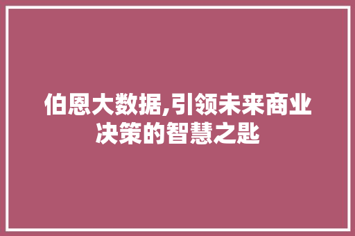 伯恩大数据,引领未来商业决策的智慧之匙