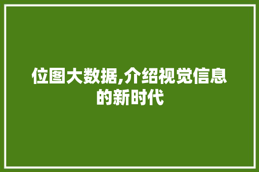 位图大数据,介绍视觉信息的新时代