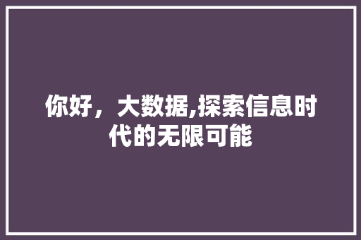 你好，大数据,探索信息时代的无限可能