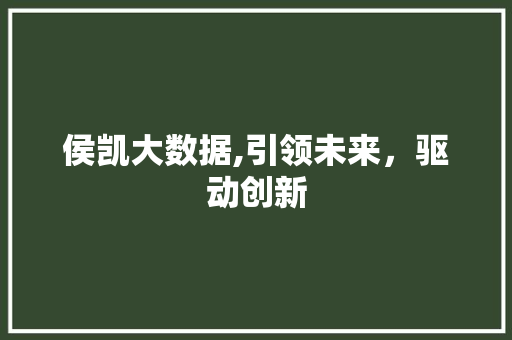侯凯大数据,引领未来，驱动创新