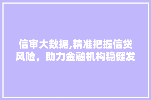 信审大数据,精准把握信贷风险，助力金融机构稳健发展