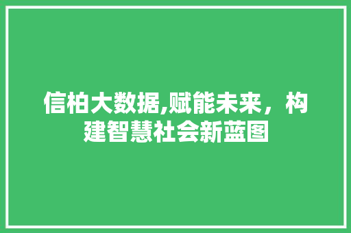 信柏大数据,赋能未来，构建智慧社会新蓝图