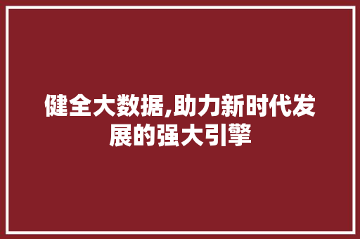 健全大数据,助力新时代发展的强大引擎