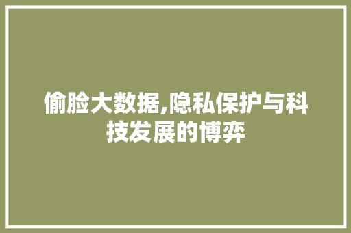 偷脸大数据,隐私保护与科技发展的博弈