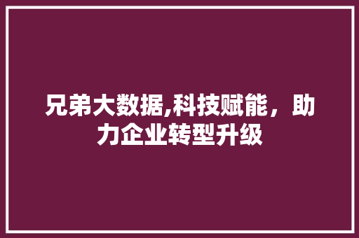 兄弟大数据,科技赋能，助力企业转型升级