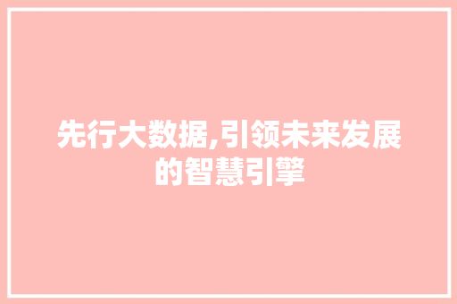 先行大数据,引领未来发展的智慧引擎