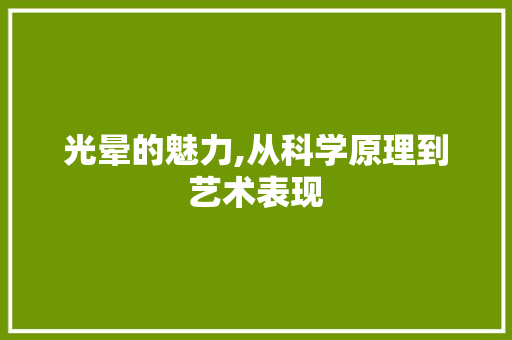 光晕的魅力,从科学原理到艺术表现