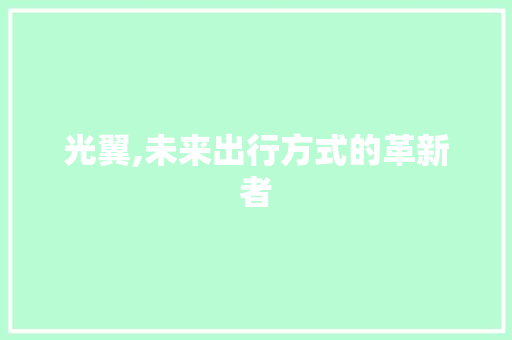 光翼,未来出行方式的革新者