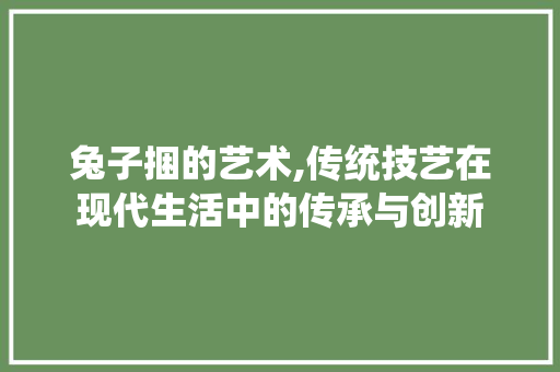 兔子捆的艺术,传统技艺在现代生活中的传承与创新