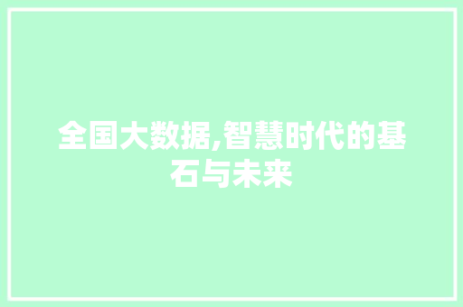全国大数据,智慧时代的基石与未来