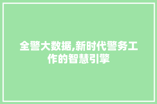 全警大数据,新时代警务工作的智慧引擎