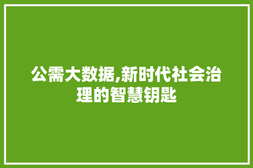 公需大数据,新时代社会治理的智慧钥匙