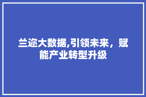 兰迩大数据,引领未来，赋能产业转型升级