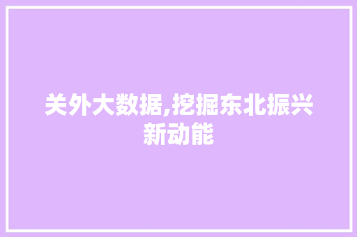 关外大数据,挖掘东北振兴新动能