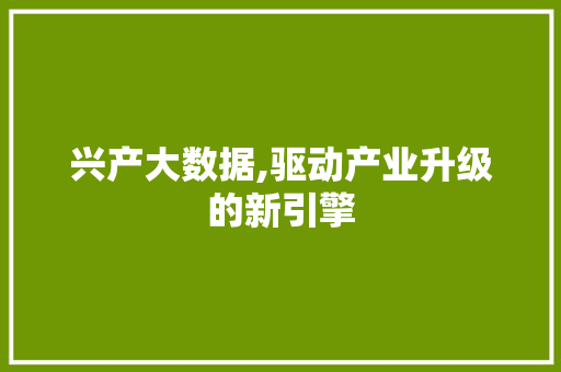 兴产大数据,驱动产业升级的新引擎