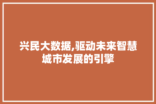 兴民大数据,驱动未来智慧城市发展的引擎