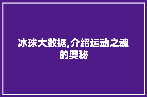 冰球大数据,介绍运动之魂的奥秘