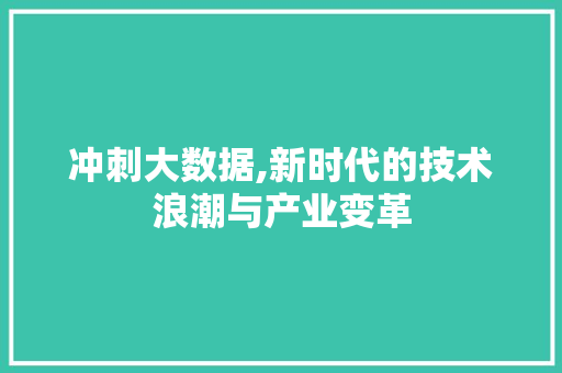 冲刺大数据,新时代的技术浪潮与产业变革