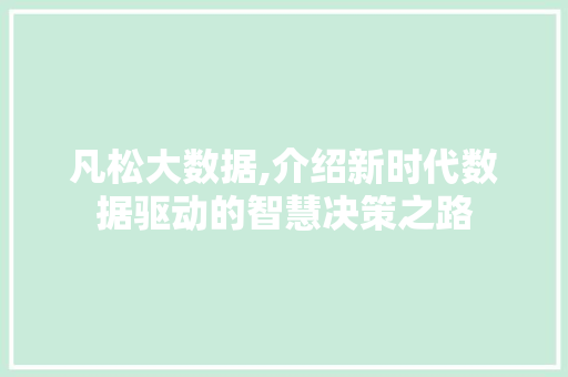 凡松大数据,介绍新时代数据驱动的智慧决策之路