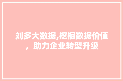 刘多大数据,挖掘数据价值，助力企业转型升级