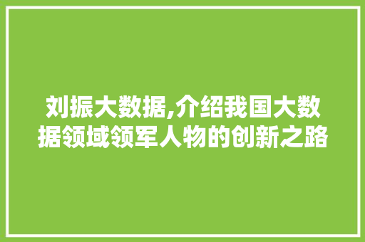 刘振大数据,介绍我国大数据领域领军人物的创新之路 刘振大数据,介绍我国大数据领域领军人物的创新之路