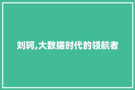 刘轲,大数据时代的领航者
